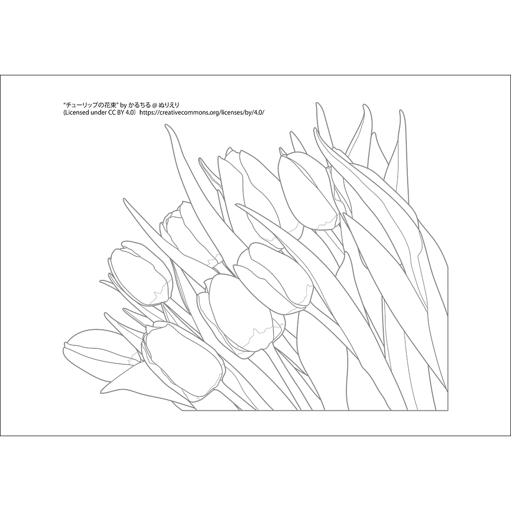 チューリップの花束：グレー線タイプ